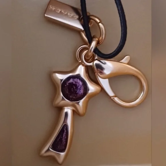 COACH Corner Zip Glitter Leather Wristlet Boxed Gift Box 2 Charms 100% AUTHENTIC - Picture 4 of 8